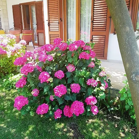 Hella Apartmán Trogir